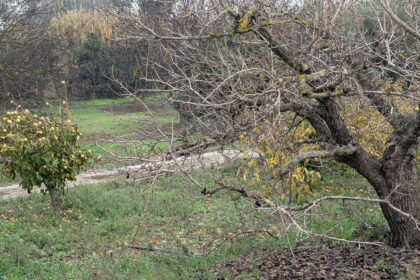 d99ced1bc2bb735a425d039d0b737208 - 4