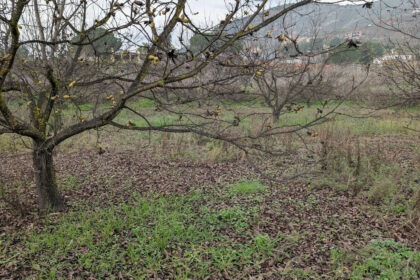 d99ced1bc2bb735a425d039d0b737208 - 5