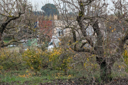 d99ced1bc2bb735a425d039d0b737208 - 6