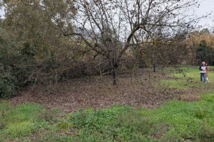 d99ced1bc2bb735a425d039d0b737208 - 7