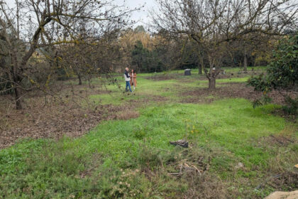 d99ced1bc2bb735a425d039d0b737208 - 8