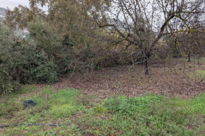 d99ced1bc2bb735a425d039d0b737208 - 9