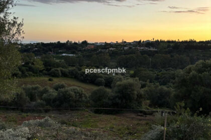 db9d6f001470f60fcf265d17be82b416 - 1