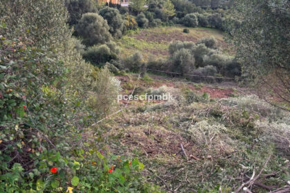 db9d6f001470f60fcf265d17be82b416 - 2