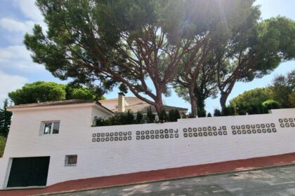 dc055ec8f4ba9d3fdb618cf0d29da8d8 - 21