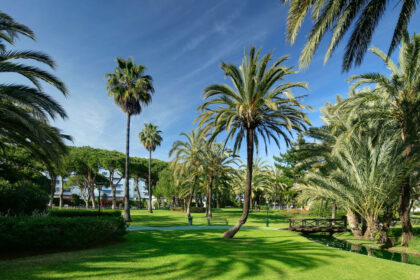 dc41dc96d347953485488383ac0640dd - 24