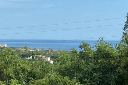 dc6ee3efeb90d1d381b359172e2394d0 - 41