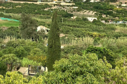 dc6ee3efeb90d1d381b359172e2394d0 - 42