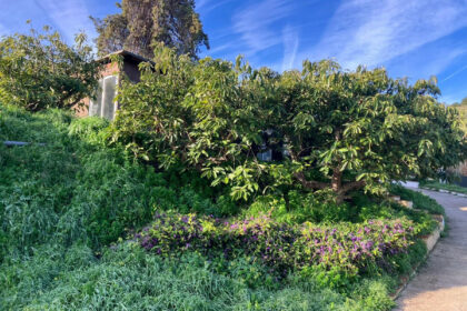 dc6ee3efeb90d1d381b359172e2394d0 - 43