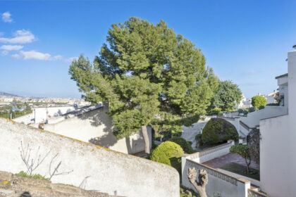 dcf70ce25dff881ebfe8e99ed2f4ff59 - 28