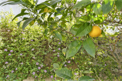 dcf70ce25dff881ebfe8e99ed2f4ff59 - 6