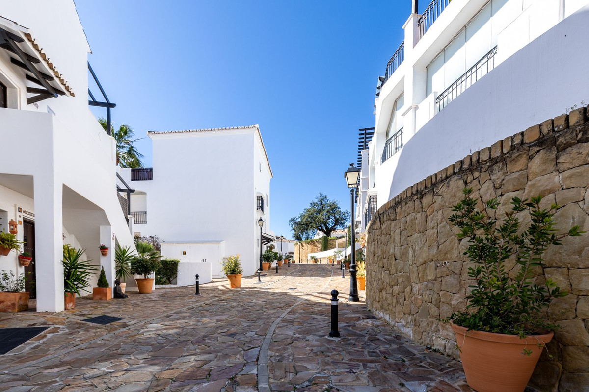 ddbd69dd137cbbbf44aeef2414de3c52 - 30