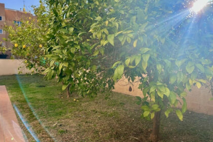 ddd7bc6da8d08394078fb0dc3f5d84e5 - 10