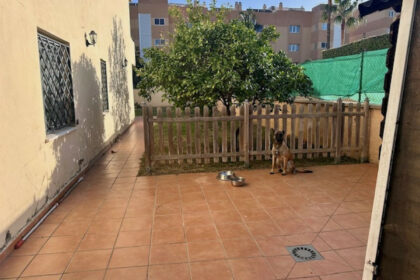 ddd7bc6da8d08394078fb0dc3f5d84e5 - 12