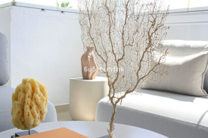 e1869c6ef15a1e86a0de3e5e14782958 - 33