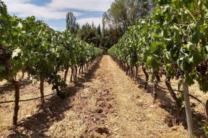 e203c488ce3d49fa9e5a86ee532d4d04 - 11