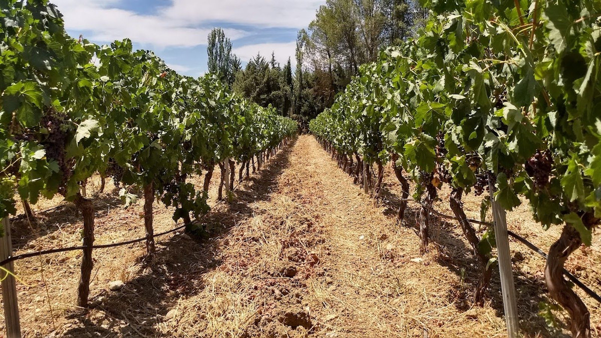 e203c488ce3d49fa9e5a86ee532d4d04 - 11