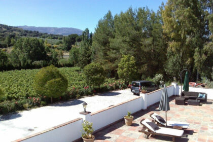 e203c488ce3d49fa9e5a86ee532d4d04 - 17