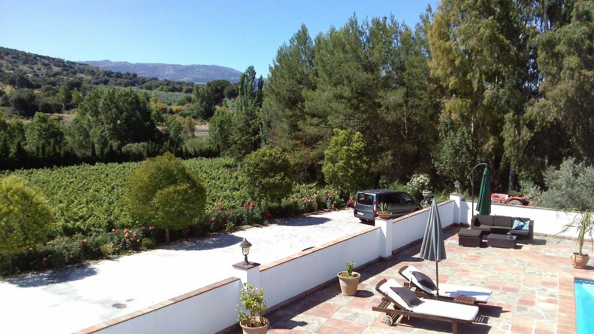 e203c488ce3d49fa9e5a86ee532d4d04 - 17