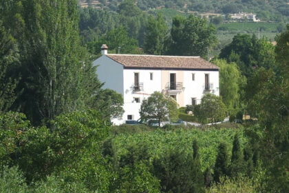 e203c488ce3d49fa9e5a86ee532d4d04 - 2