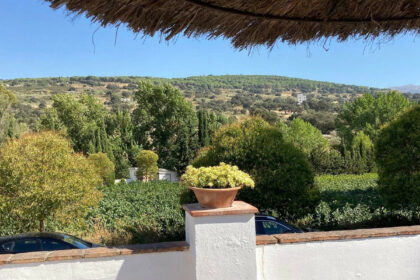 e203c488ce3d49fa9e5a86ee532d4d04 - 23