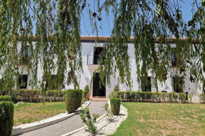 e203c488ce3d49fa9e5a86ee532d4d04 - 24