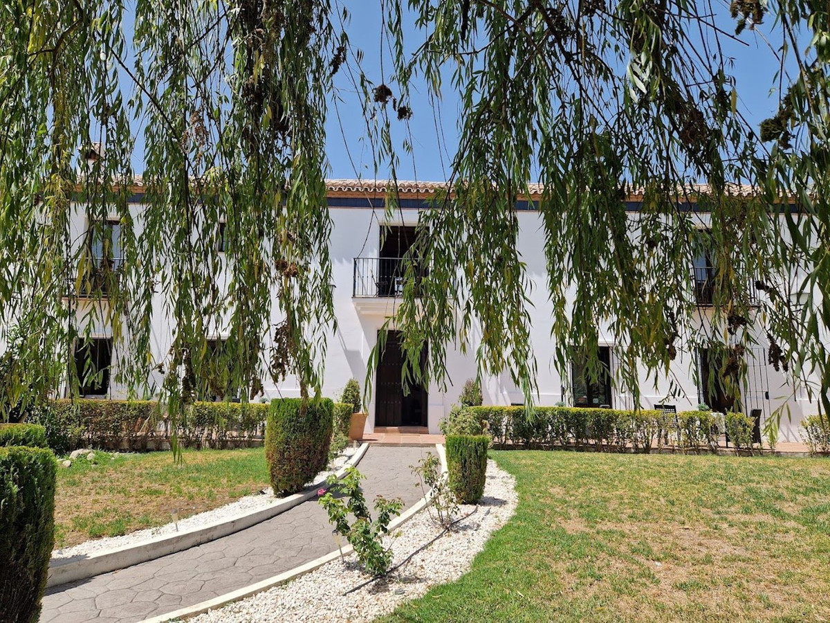 e203c488ce3d49fa9e5a86ee532d4d04 - 24