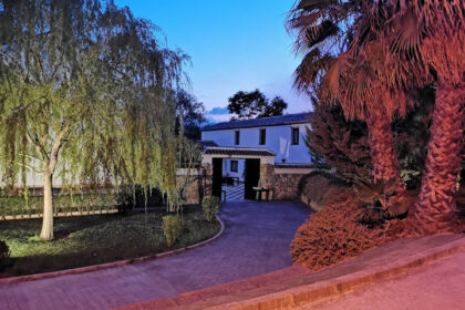 e203c488ce3d49fa9e5a86ee532d4d04 - 26