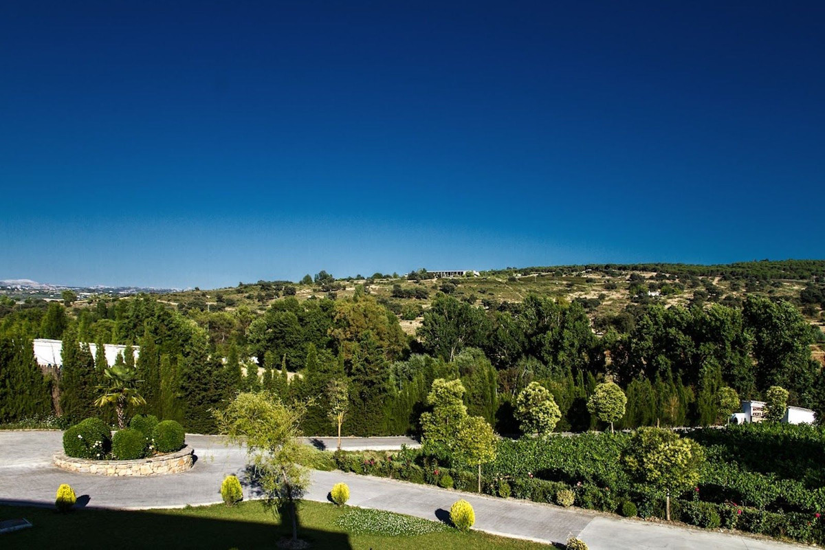 e203c488ce3d49fa9e5a86ee532d4d04 - 31