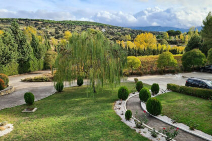 e203c488ce3d49fa9e5a86ee532d4d04 - 32