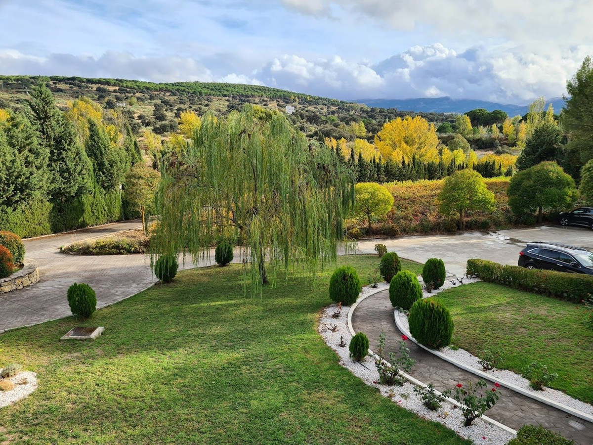 e203c488ce3d49fa9e5a86ee532d4d04 - 32