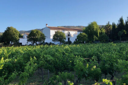 e203c488ce3d49fa9e5a86ee532d4d04 - 33