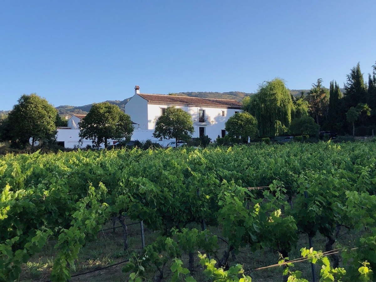 e203c488ce3d49fa9e5a86ee532d4d04 - 33