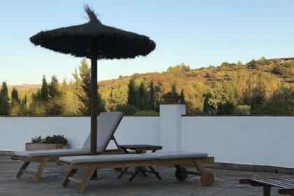 e203c488ce3d49fa9e5a86ee532d4d04 - 35