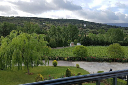 e203c488ce3d49fa9e5a86ee532d4d04 - 39