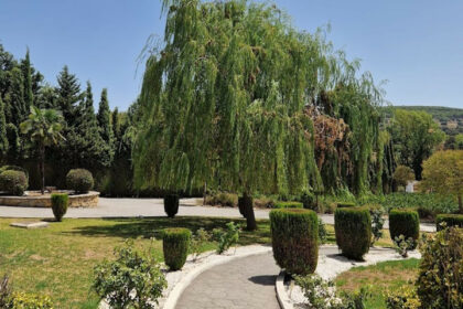 e203c488ce3d49fa9e5a86ee532d4d04 - 5