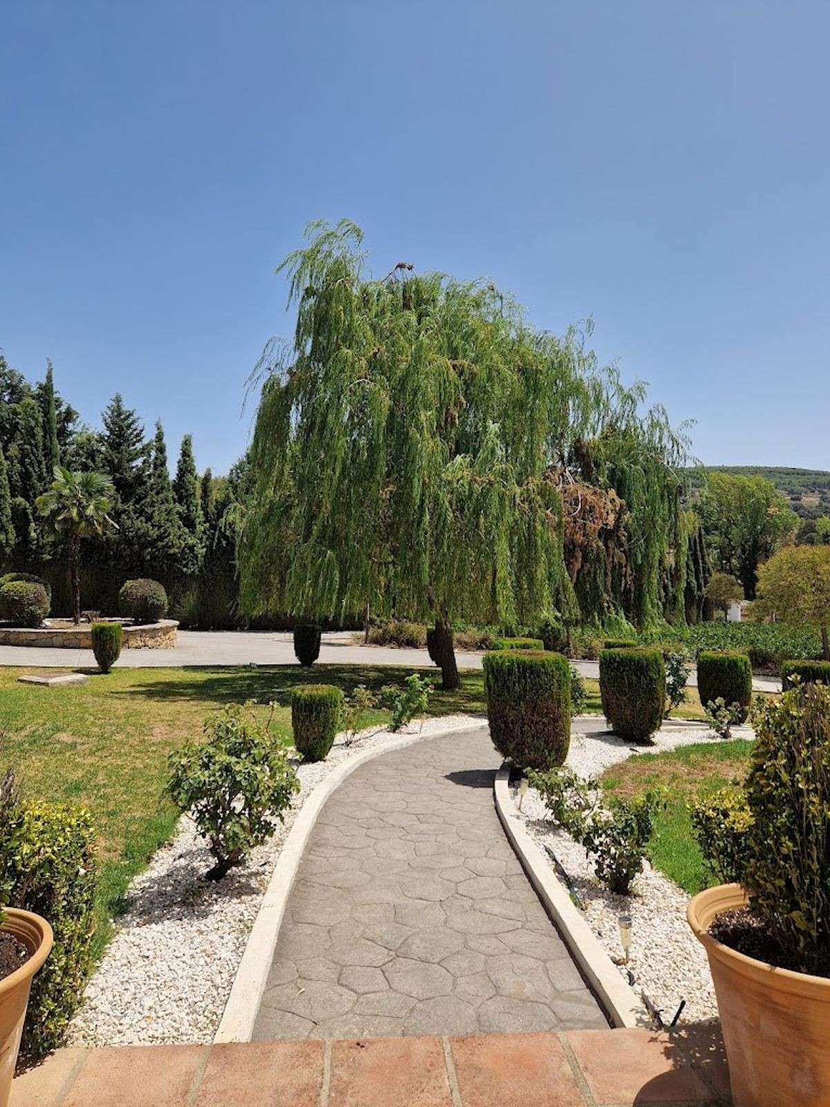 e203c488ce3d49fa9e5a86ee532d4d04 - 5