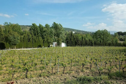 e203c488ce3d49fa9e5a86ee532d4d04 - 6