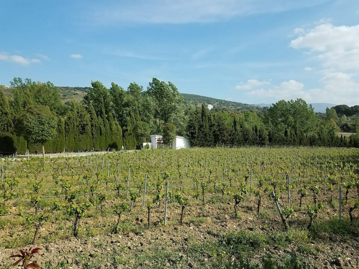 e203c488ce3d49fa9e5a86ee532d4d04 - 6