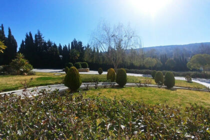 e203c488ce3d49fa9e5a86ee532d4d04 - 9