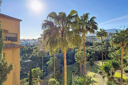 e33ed4044955115596069130cfbc9315 - 34