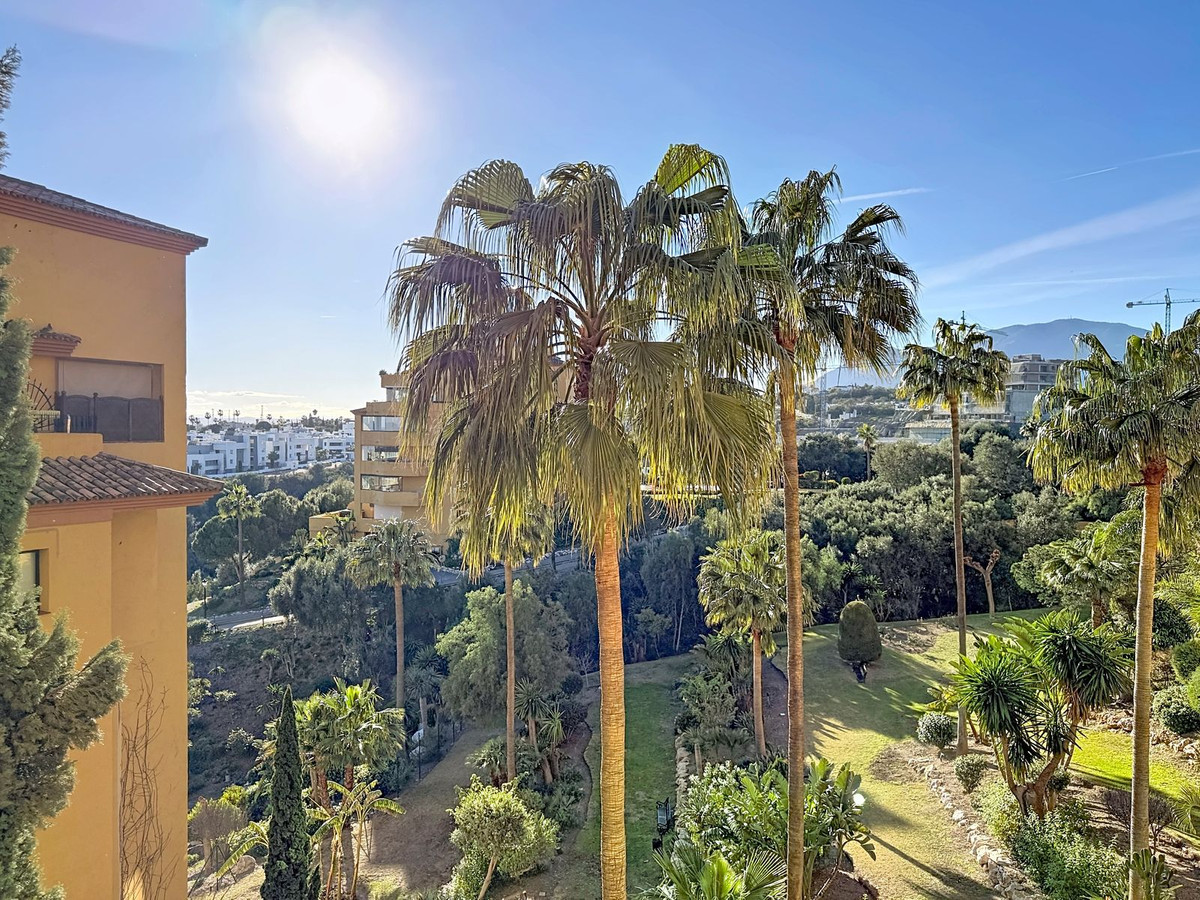 e33ed4044955115596069130cfbc9315 - 34