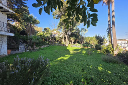 e6ffd302d54dfccdf03844d1f1b5eaa4 - 30