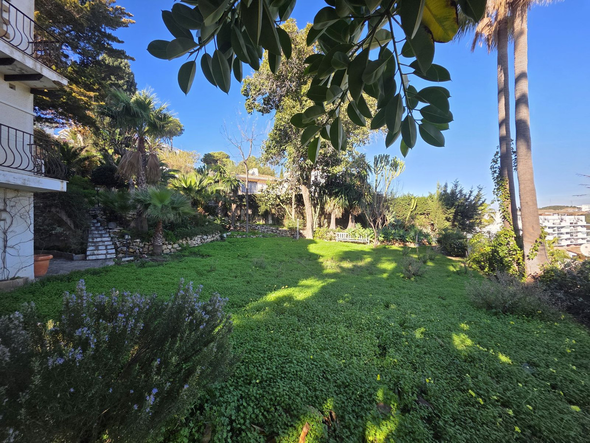 e6ffd302d54dfccdf03844d1f1b5eaa4 - 30