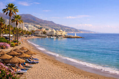 e7030aa261f3b6274771f6ee8418224a - 3