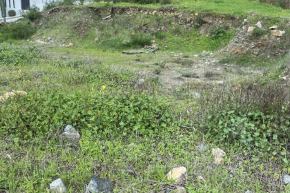 e836fa734529def9fd1d232d877792ab - 13