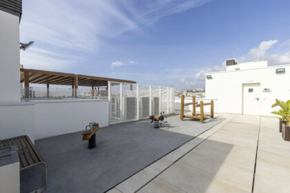 e8ff0601bd678374d5361240a83df558 - 20