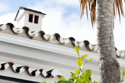 ea2ed7d0fce3cbec1ac3b416c6623345 - 24