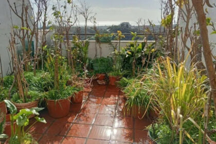 ea533639ec8d0033320b93294d9a18e9 - 1