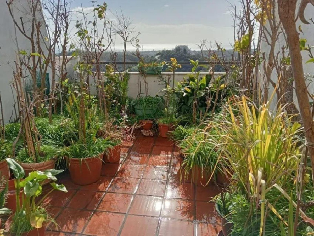 ea533639ec8d0033320b93294d9a18e9 - 1